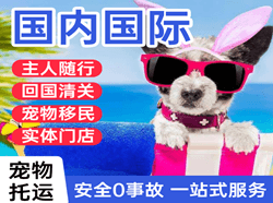 西双版纳空运代理国际宠物托运 【国
